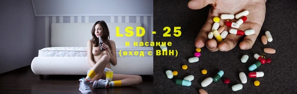 ГАЛЛЮЦИНОГЕННЫЕ ГРИБЫ Абаза