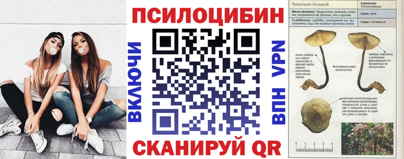 где можно купить   Каменск-Уральский  Галлюциногенные грибы Cubensis 